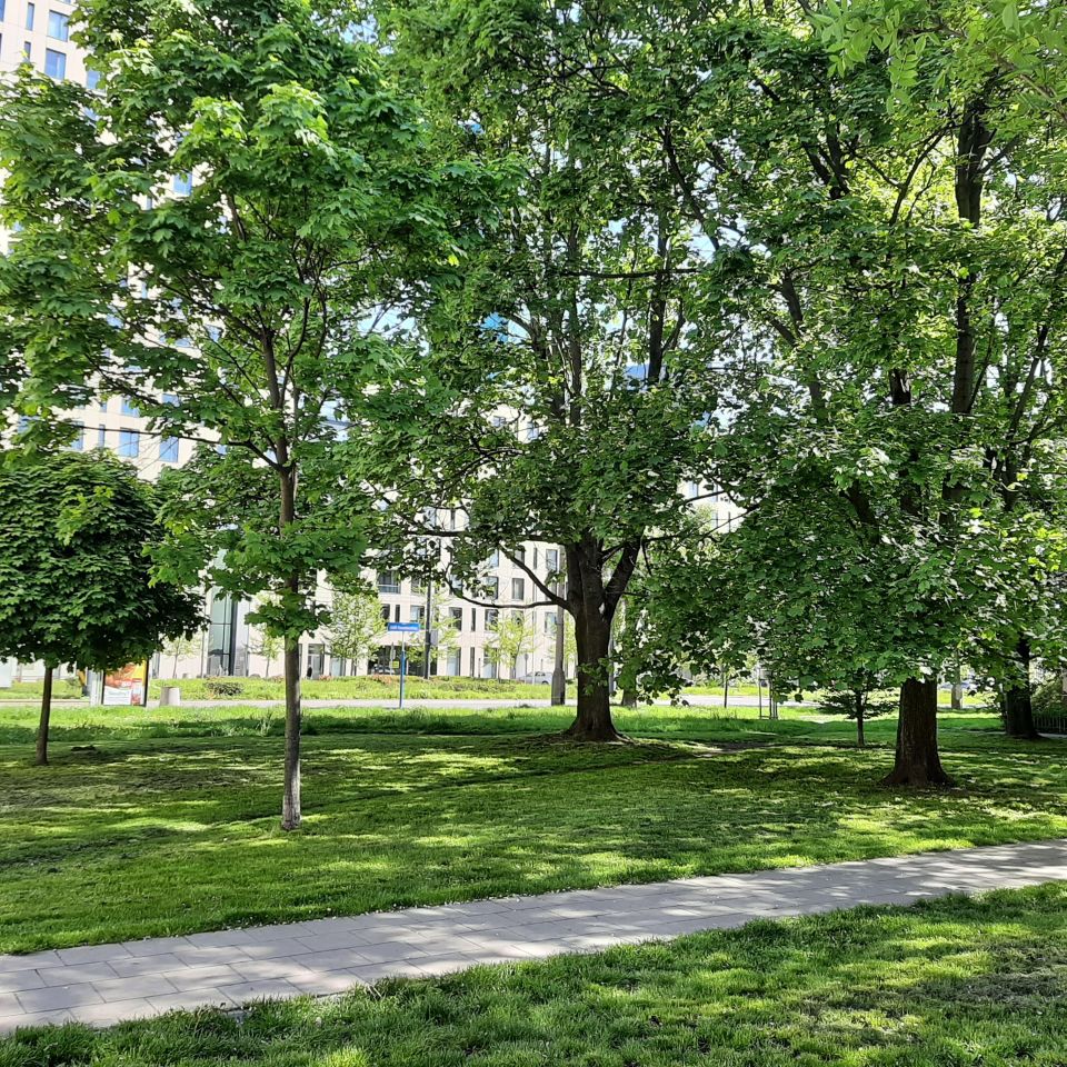 Mieszkanie 1-pokojowe Warszawa Śródmieście, ul. Stawki. Zdjęcie 6