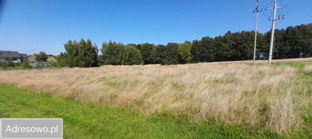 Działka budowlana Witkowice, ul. Winogronowa. Zdjęcie 1