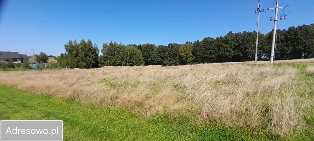 Działka budowlana Witkowice, ul. Winogronowa