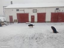 dom wolnostojący, 6 pokoi Krusza Duchowna. Zdjęcie 1