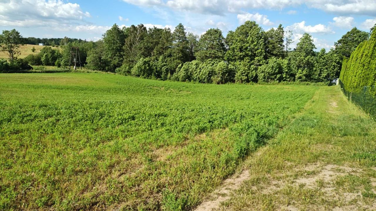 Działka budowlana Kwiedzina. Zdjęcie 2