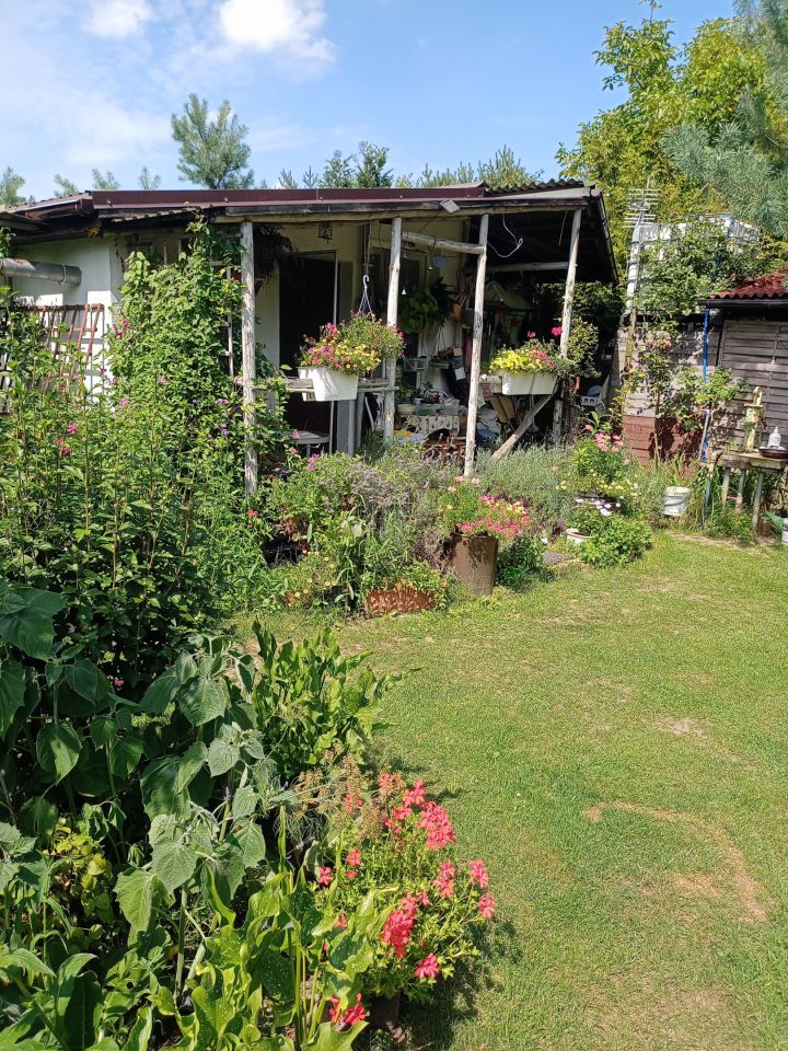 Działka rekreacyjna Wrocław Bierdzany, ul. Nizinna. Zdjęcie 19