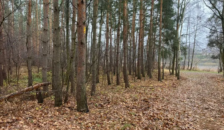 Działka rolna Grabina