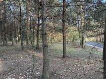 Działka rekreacyjna Wola Polska. Zdjęcie 2