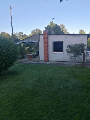 Działka rod Zgierz. Zdjęcie 1