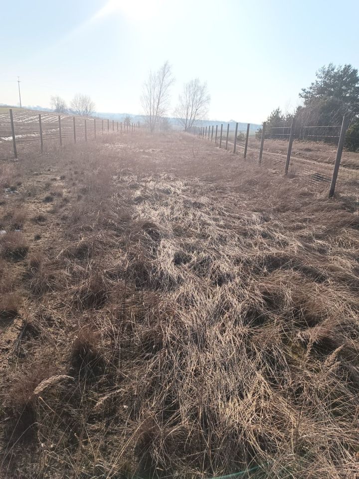 Działka budowlana Kwileń. Zdjęcie 6