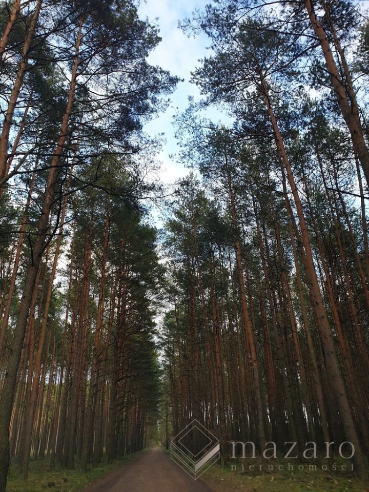 Działka budowlana Czarże. Zdjęcie 9