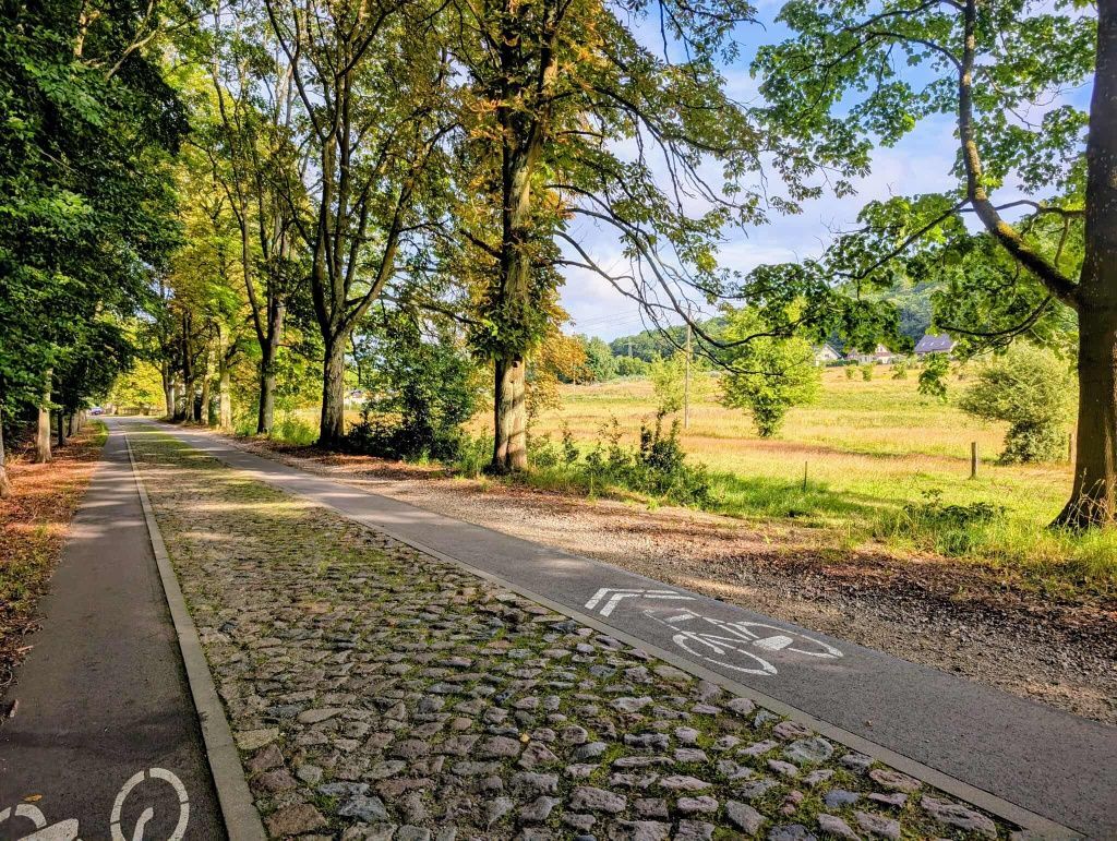 Działka rolno-budowlana Wapnica, ul. Turkusowa. Zdjęcie 5