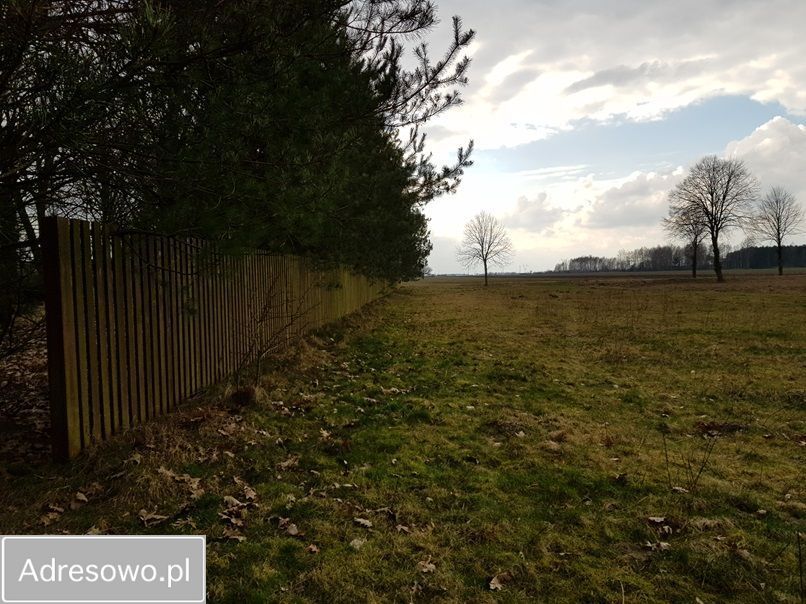 Działka rolna Ossówno. Zdjęcie 3