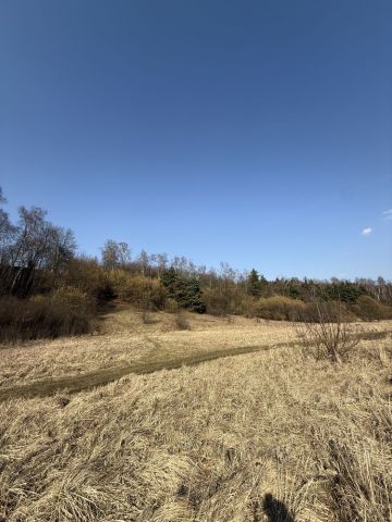 Działka rekreacyjna Częstochowa Mirów. Zdjęcie 1
