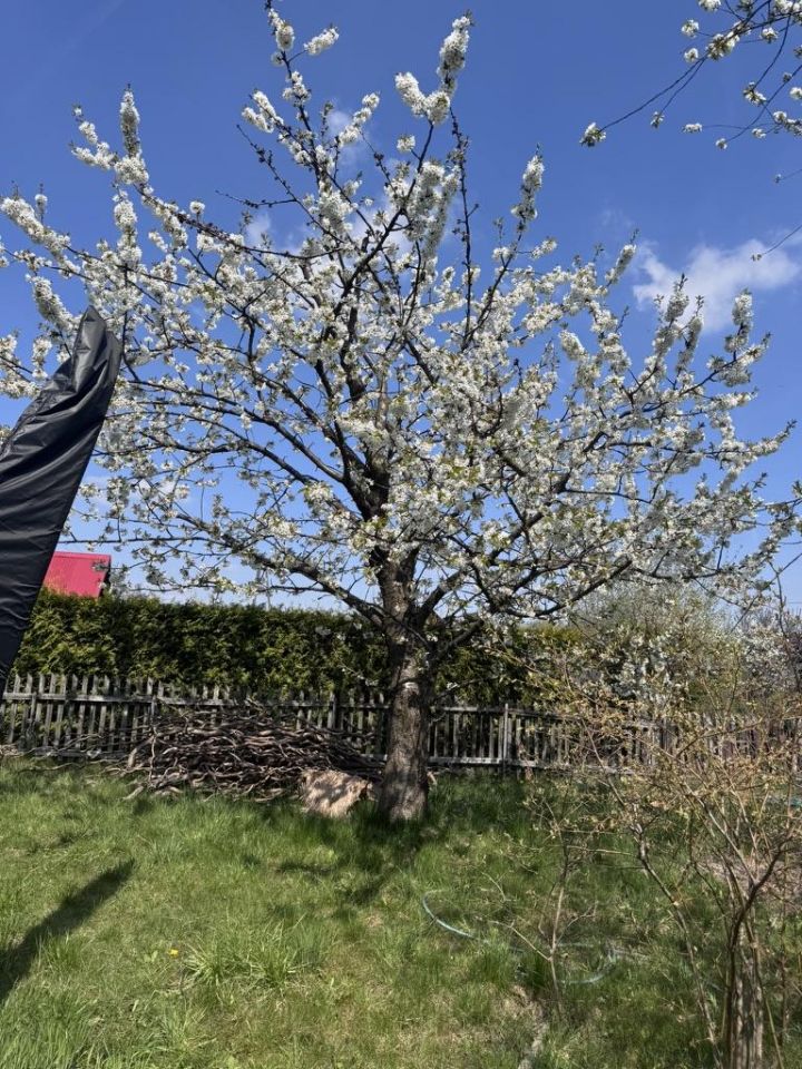 Działka rod Bielsko-Biała Hałcnów, ul. Marii i Bolesława Wysłouchów. Zdjęcie 1
