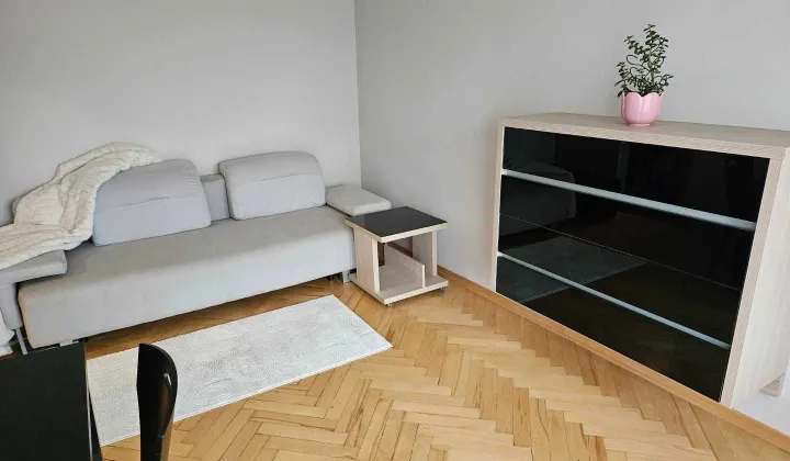 Mieszkanie 1-pokojowe Łódź Polesie, ul. Klonowa