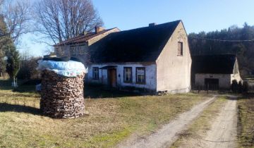 bliźniak Drężno