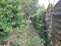 Działka budowlana Adamów-Wieś, ul. Dzikiej Gruszy. Zdjęcie 2