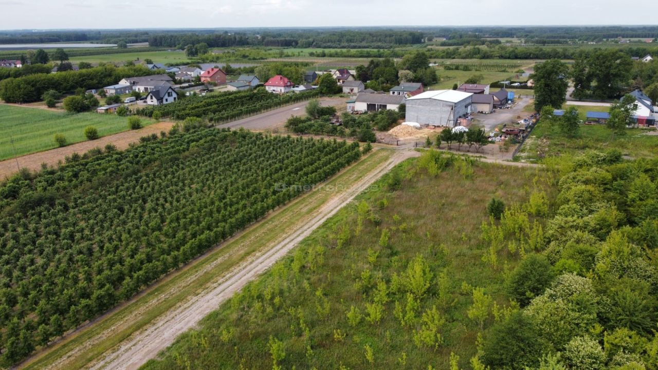 Działka budowlana Barcice Drwalewskie. Zdjęcie 3