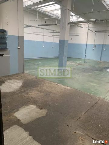 Hala/magazyn Warszawa Bielany. Zdjęcie 6