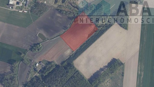 Działka inwestycyjna Wacławów. Zdjęcie 12