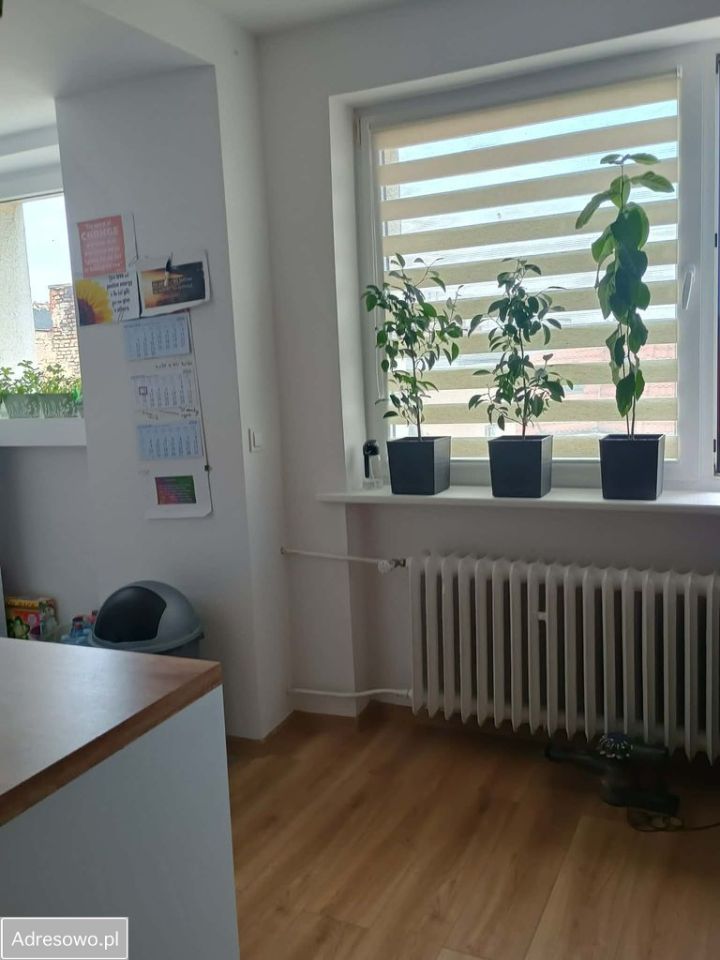 Mieszkanie 3-pokojowe Poznań Jeżyce, ul. Mylna. Zdjęcie 11