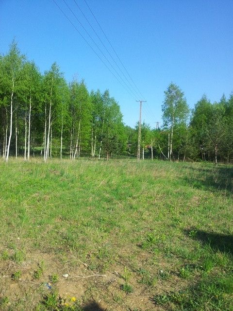 Działka rekreacyjna Pilec. Zdjęcie 4