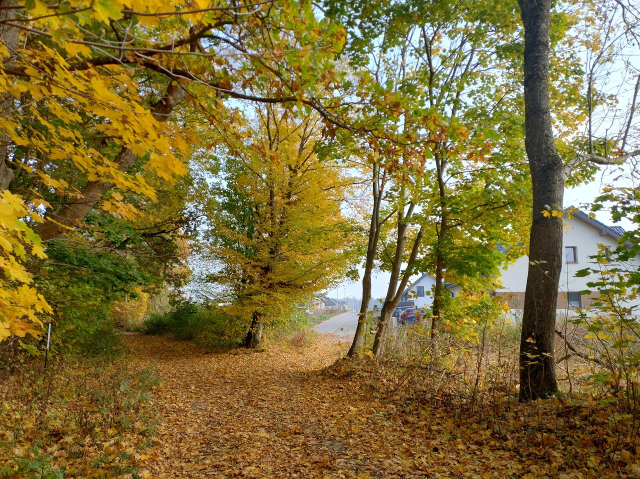 Działka budowlana Redzikowo, ul. Klonowa. Zdjęcie 3