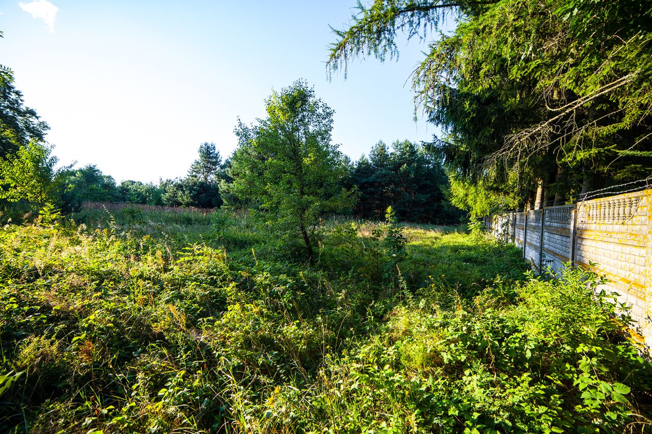 Działka budowlana Celiny. Zdjęcie 18