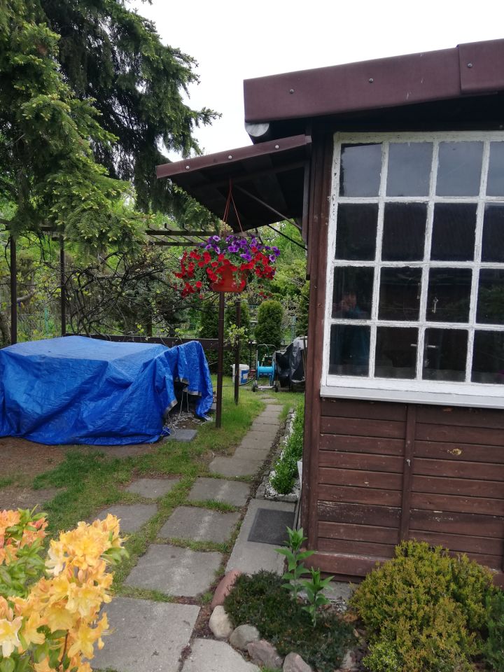 Działka rod Warszawa Bemowo, Dzialka ROD Bemowo II. Zdjęcie 14