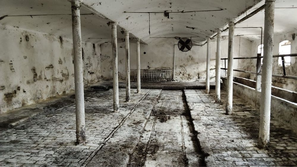 bliźniak Baszyn. Zdjęcie 7