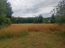 dom wolnostojący Czernica. Zdjęcie 4