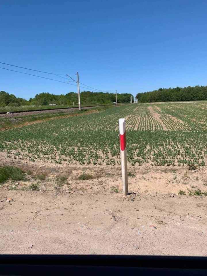 Działka rolno-budowlana Gałęzinowo. Zdjęcie 3