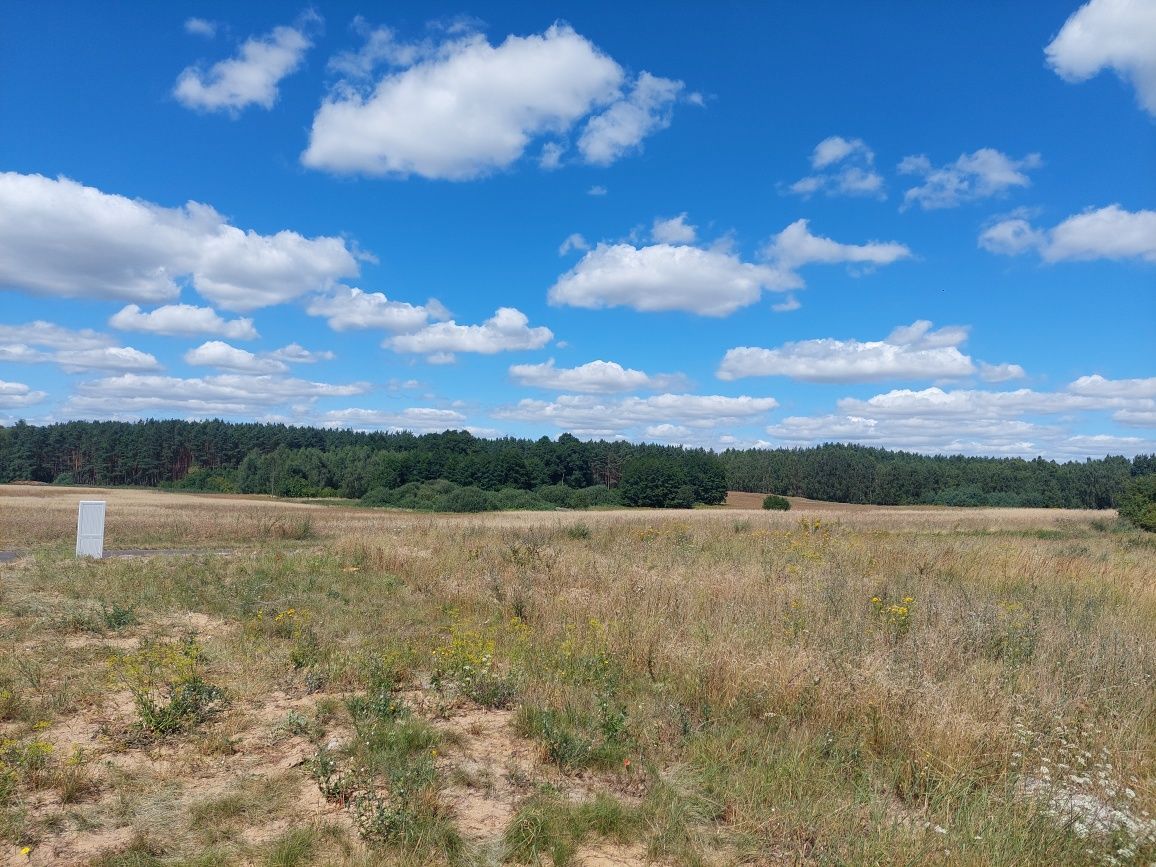 Działka budowlana Dąbrowa. Zdjęcie 6