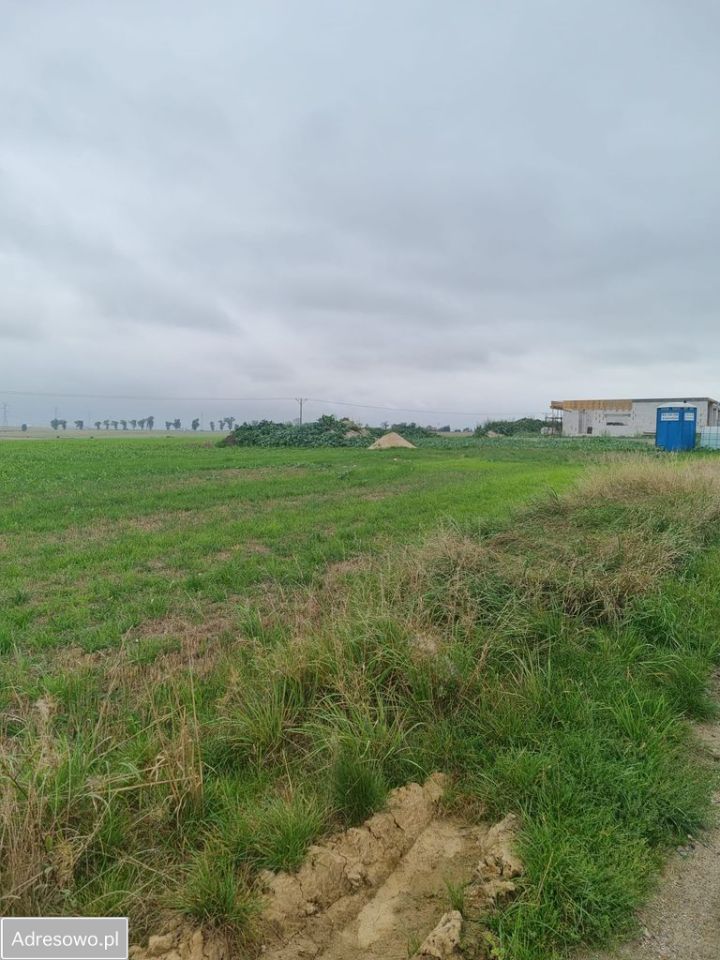 Działka budowlana Kalno, ul. Szafirowa