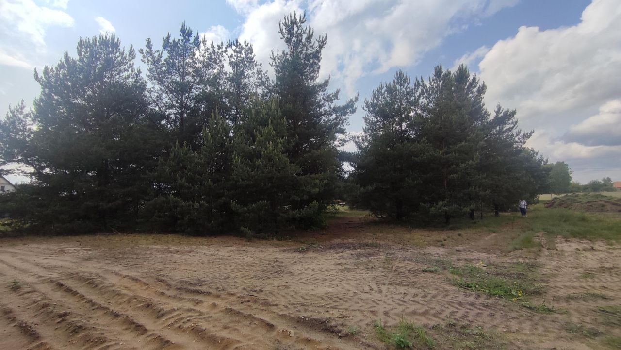 Działka rolno-budowlana Czarna Woda, ul. Wiśniowa. Zdjęcie 3