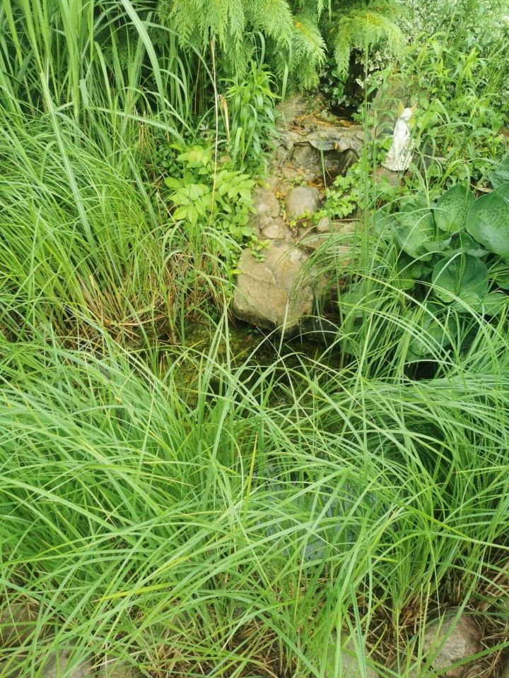 Działka rod Wronki, ul. Działkowa. Zdjęcie 5