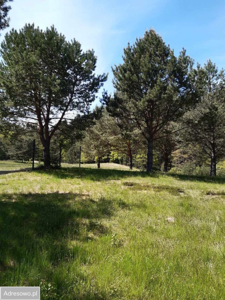 Działka budowlana Leśniewo, ul. Złota Dolina. Zdjęcie 8