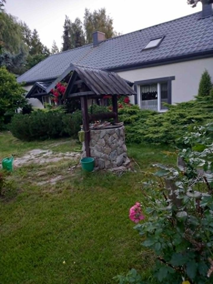 siedlisko, 5 pokoi Łąkie, ul. Podstawowa. Zdjęcie 5
