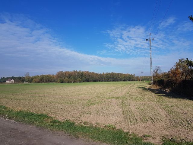 Działka rolno-budowlana Brudzeń Mały. Zdjęcie 1
