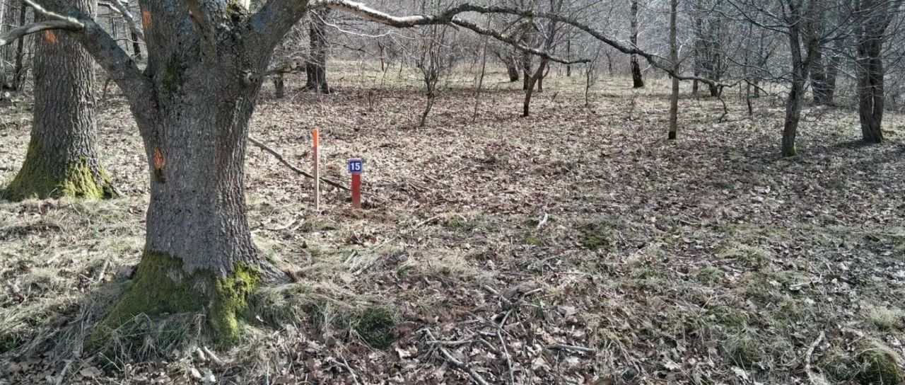 Działka inwestycyjna Charnowo. Zdjęcie 12