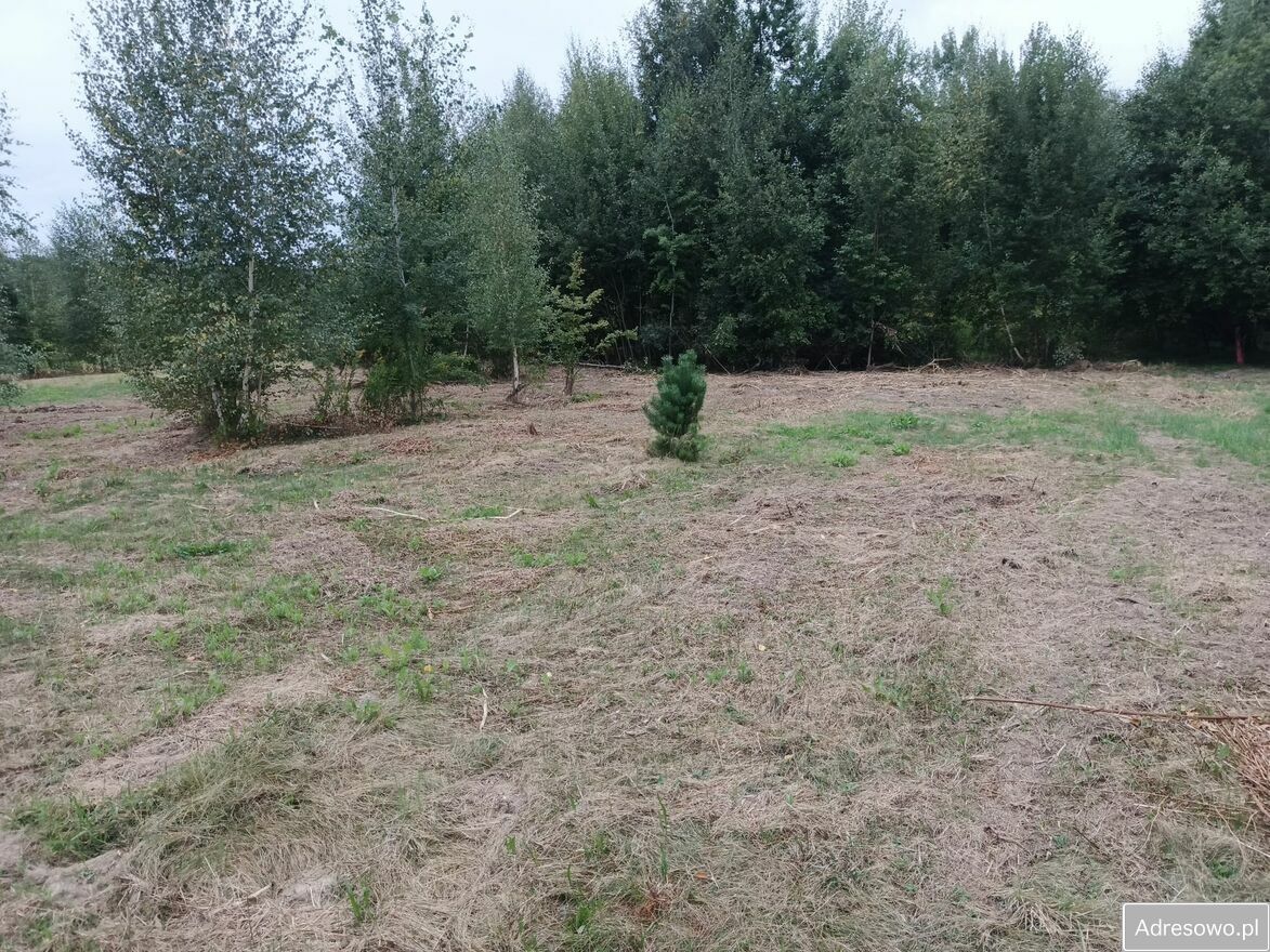 Działka budowlana Osolin, ul. Zielona. Zdjęcie 3