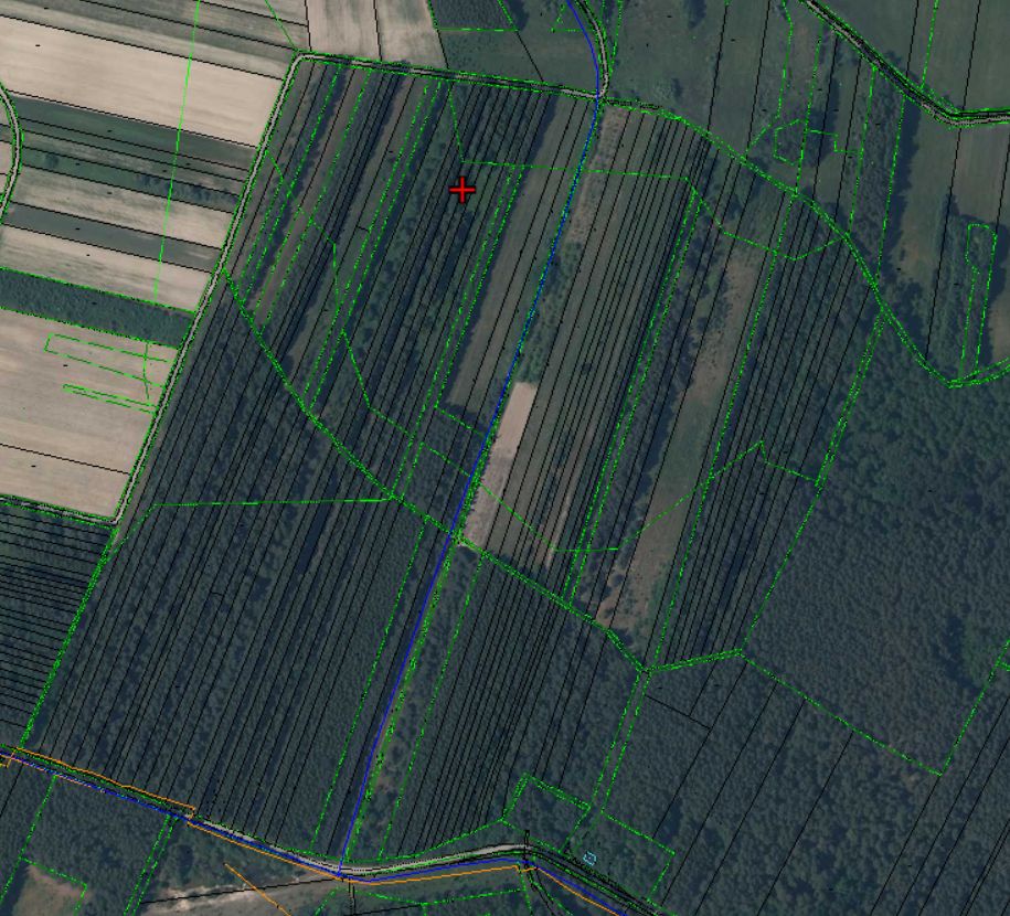 Działka leśna Żuków. Zdjęcie 3