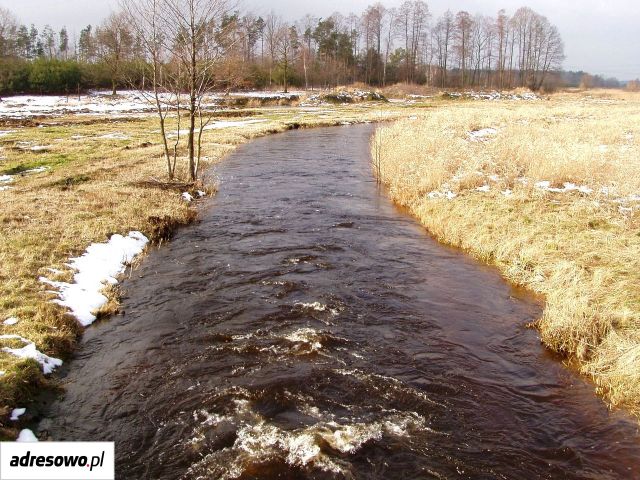 Działka rolno-budowlana Lefranów. Zdjęcie 10
