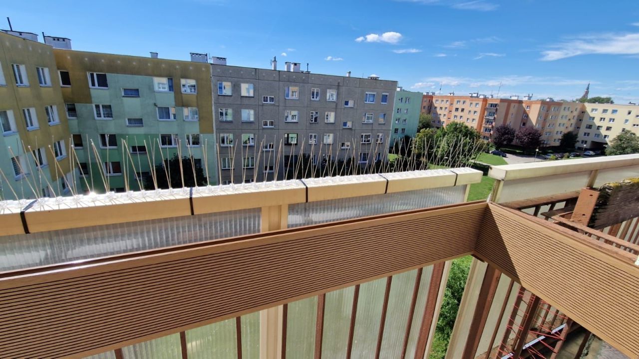 Mieszkanie 1-pokojowe Świdnica, ul. Jana Kilińskiego. Zdjęcie 2