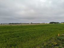 Działka rolno-budowlana Sitaniec-Wolica. Zdjęcie 1