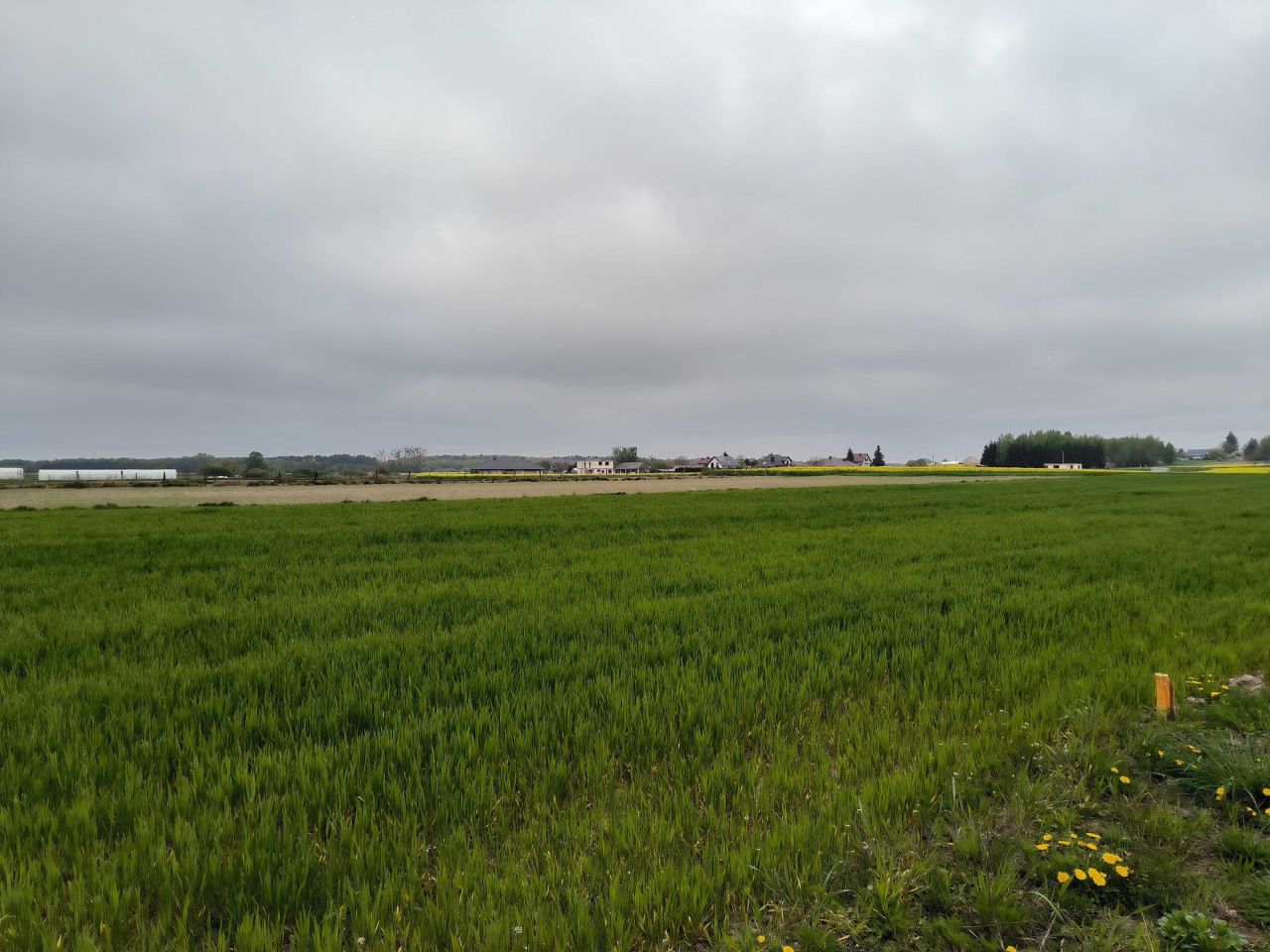 Działka rolno-budowlana Sitaniec-Wolica. Zdjęcie 2