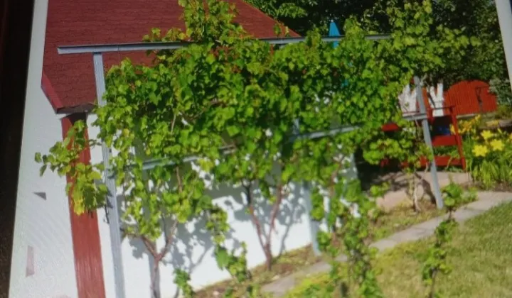 Działka rod Rogówko