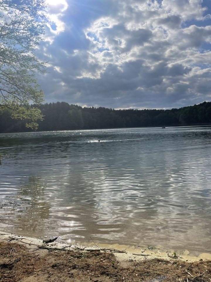 Działka budowlana Zalesie. Zdjęcie 3