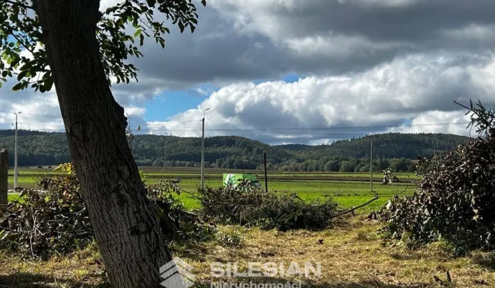 Działka budowlana Witoszów Dolny