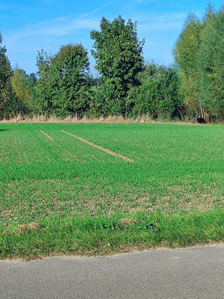 Działka budowlana Kornacice. Zdjęcie 3