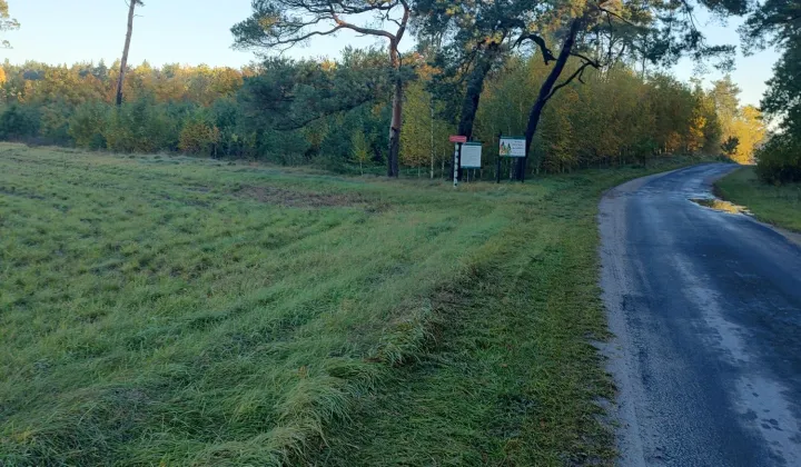 Działka budowlana Radojewice