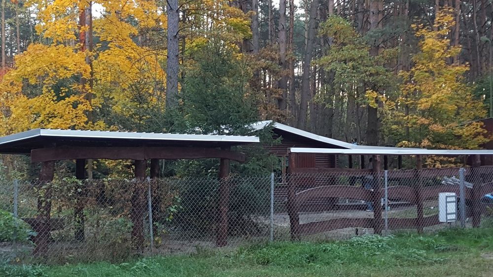 Działka rekreacyjna Mierzwice-Kolonia