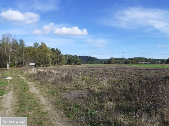 Działka budowlana Kamień, ul. Piaskowa. Zdjęcie 1